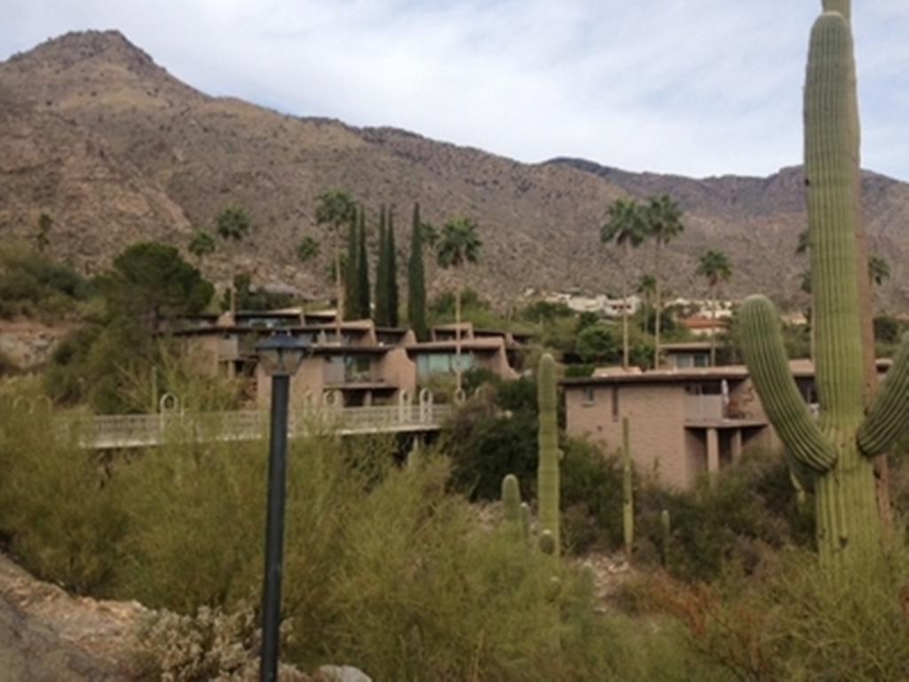 فيلا Mission Hills Casitas By Arizona Housing Solutions - Pv8 أورو وادي الغرفة الصورة